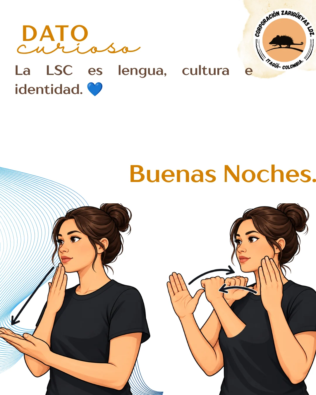 Pieza gráfica sobre lengua, cultura e identidad en la LSC